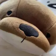 ゆうきの画像