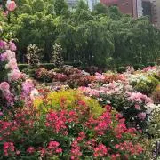 Annaの画像