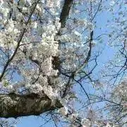 ma1k0の画像