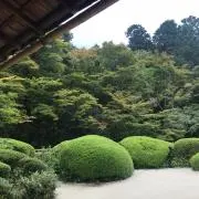 ハム太郎の画像