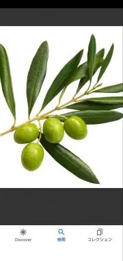 oliveの画像
