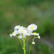 ヒロ