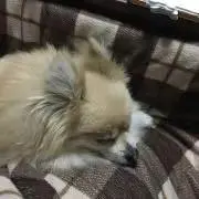 みーちゃん