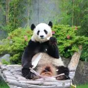 るんさんの画像