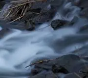 Gohanの画像