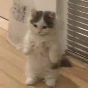 um