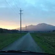 s.k