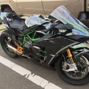 てんとう虫