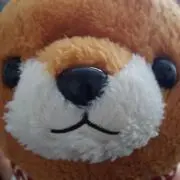 まめたろう