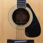 XX