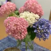 フラワー123