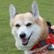 tomasuke@