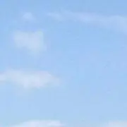 SS