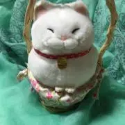 値下げしました☆