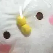 ずみりん(プロフ必読)多忙のため土日発送の画像