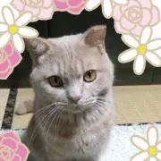 れんくん♡