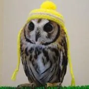 たま