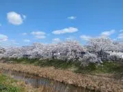 ゆっきの画像