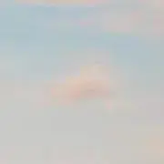 スの画像