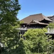 たーの画像