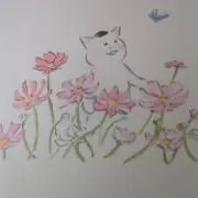 まるぷ