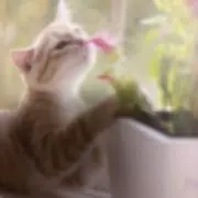 すずらん7の画像