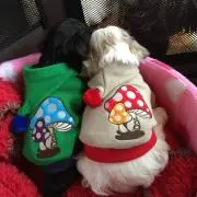 ミー