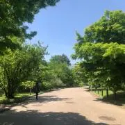 ひなの画像