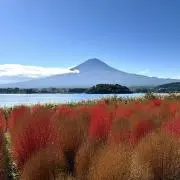 しょうきちの画像