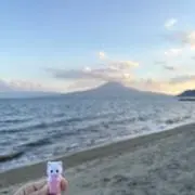 まるりの画像