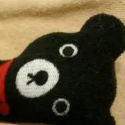 kurokuma