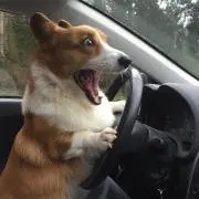 あかんて