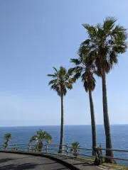 なみ✳の画像