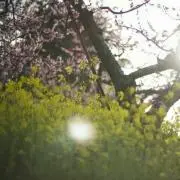 ahm＊プロフ必読＊の画像
