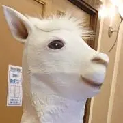 たつの画像