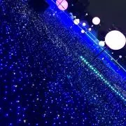 わんわん