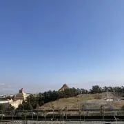 taiyakiの画像