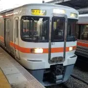 Platz 電動介護用ベッド PSB-FS2-T 梱包・発送たのメル便 - メルカリ