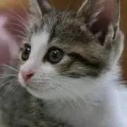 まーくんの画像