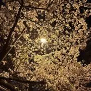 kの画像