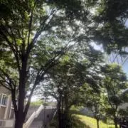 D Dの画像