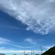 ゆーにゃん✩.*˚