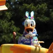 ゆかの画像