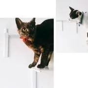 けおちゃん