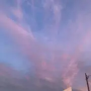CNの画像