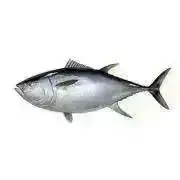 マグロ太郎※是非プロフ御一読下さい。の画像