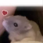 maの画像