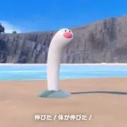 dgdの画像