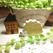 pupiflowers＊*°゜の画像