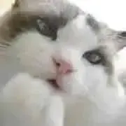 ヨシミツ